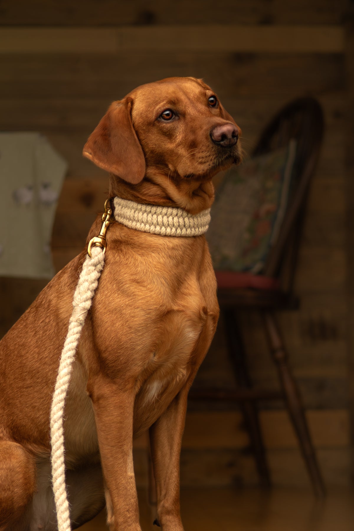 The Swaledale – Handmade British Wool Dog Collar (Standard) - Green Dog