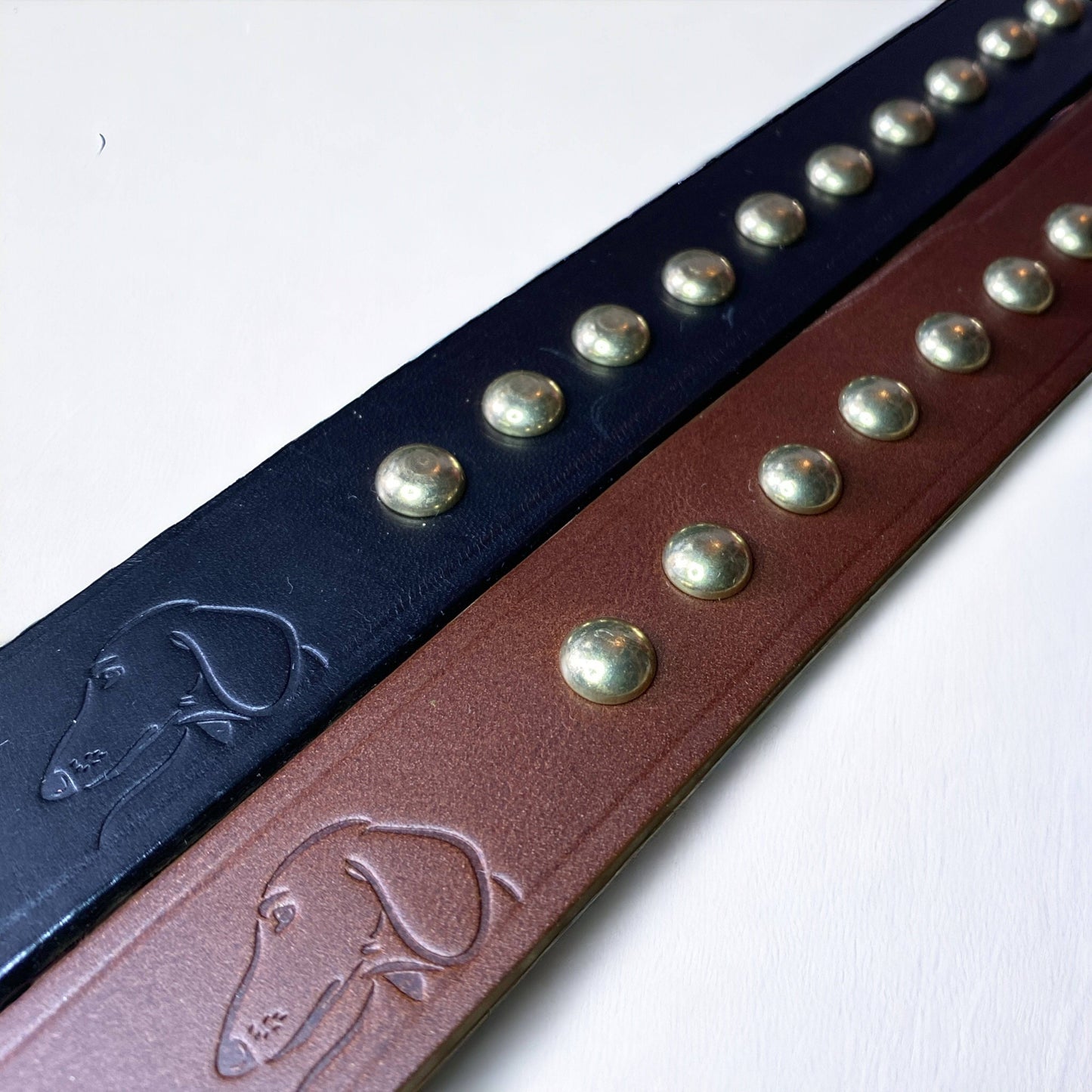 Studded Leather Dog Collar | Black or Chestnut Brown - Green Dog