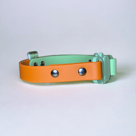 The Fixie BioThane® Dog Collar | Customisable - Green Dog