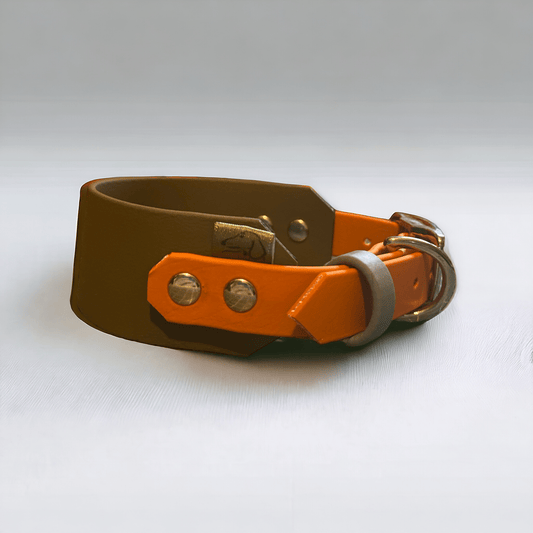 Cotswold Rambler - Nala Green - Green Dog