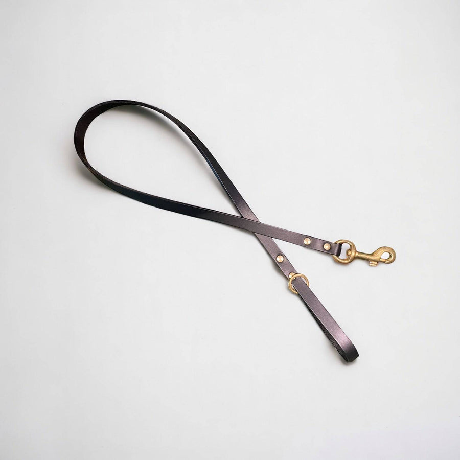 Classic Leather Dog Lead | Black or Chestnut Brown - Green Dog