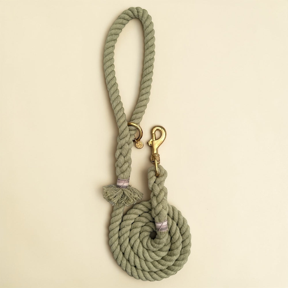 Olive green handmade cotton rope dog lead coiled flat lay, with solid brass snap clip, brass O-ring, Green Dog charm tag and lilac binding detail
