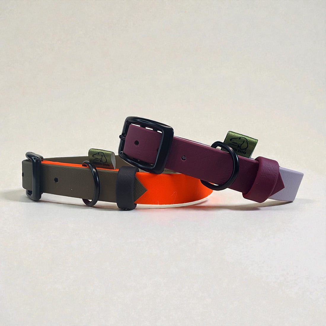 BioThane Dog Collar: What It Is and Why It Works
