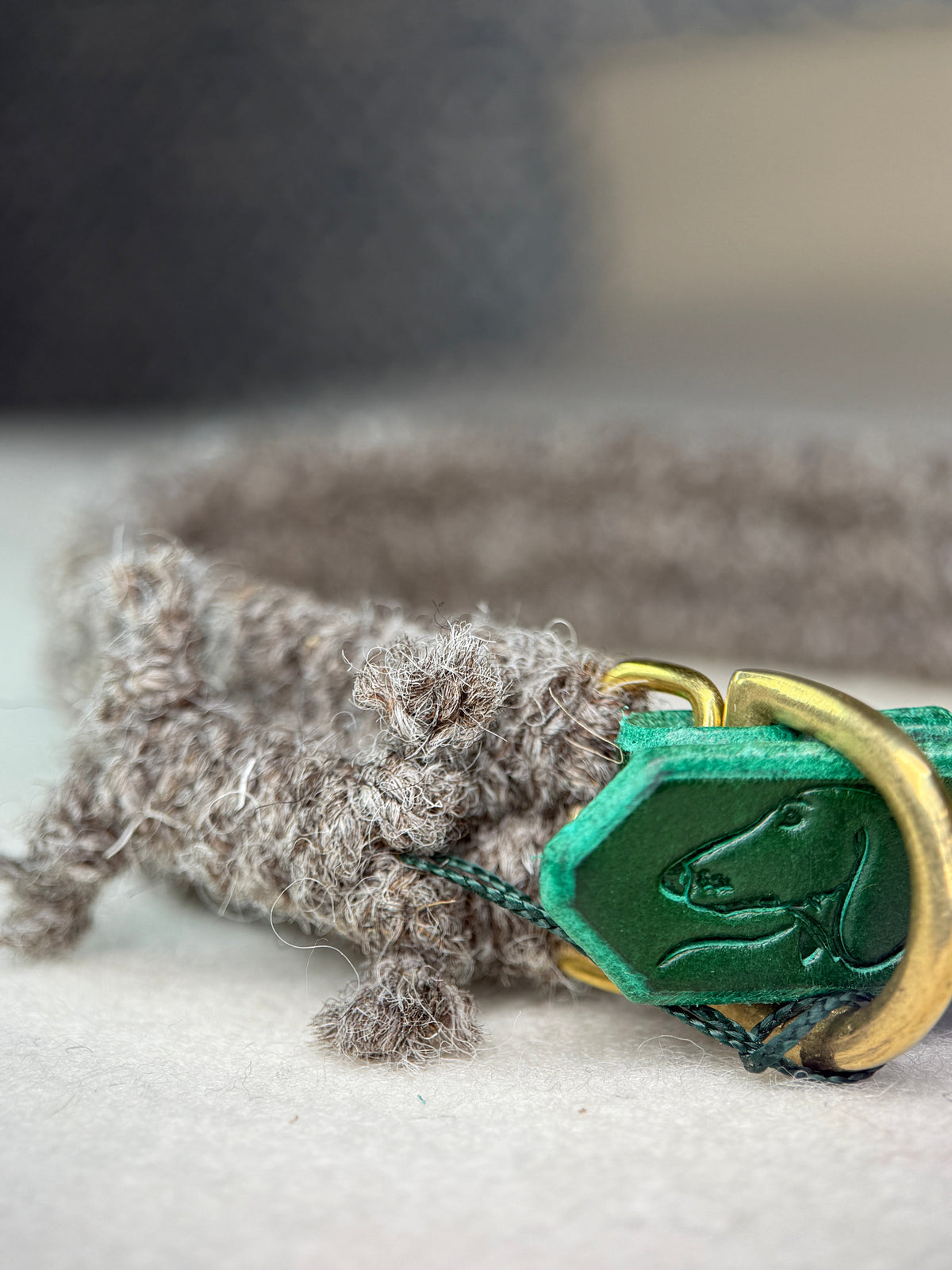 Small Dog Collars: How to Choose and Fit a Collar for a Small Breed