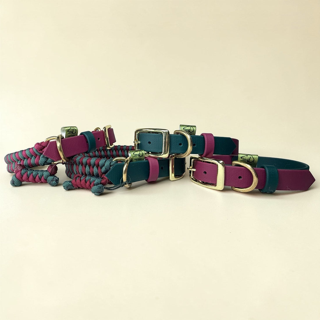 Waterproof Dog Collar: What to Look for and Why It Matters