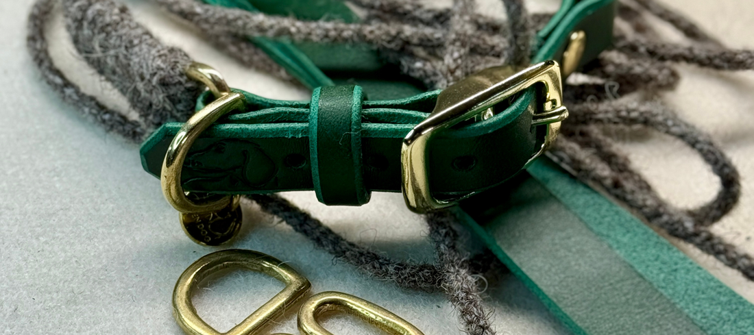 Minimalist Dog Collars: Why Solid Brass and Clean Lines Beat Embellishment