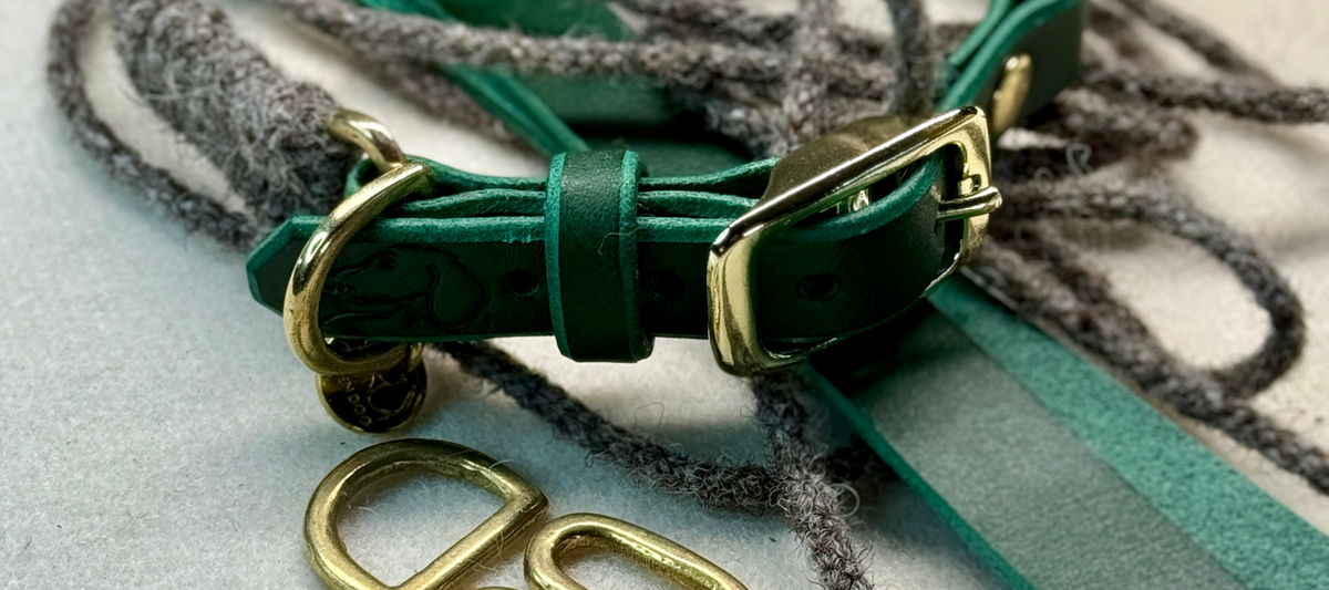 Minimalist Dog Collars: Why Solid Brass and Clean Lines Beat Embellishment