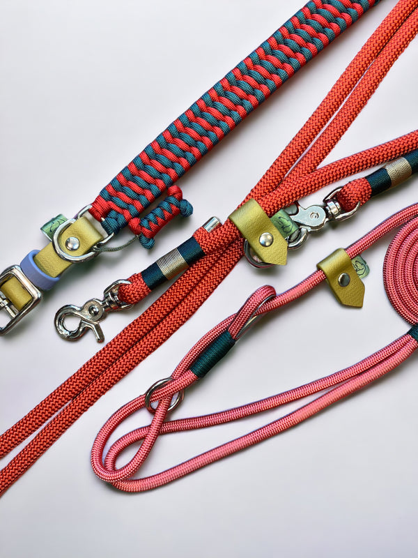 Why Green Dog’s Handmade Collars and Leads Are the Ultimate Choice for Style and Durability