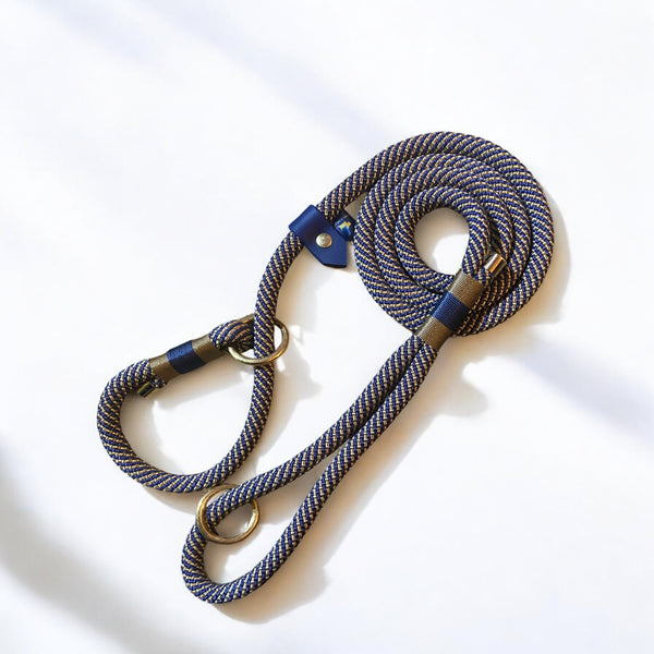 Why Invest in High-Quality Dog Collars and Leads?