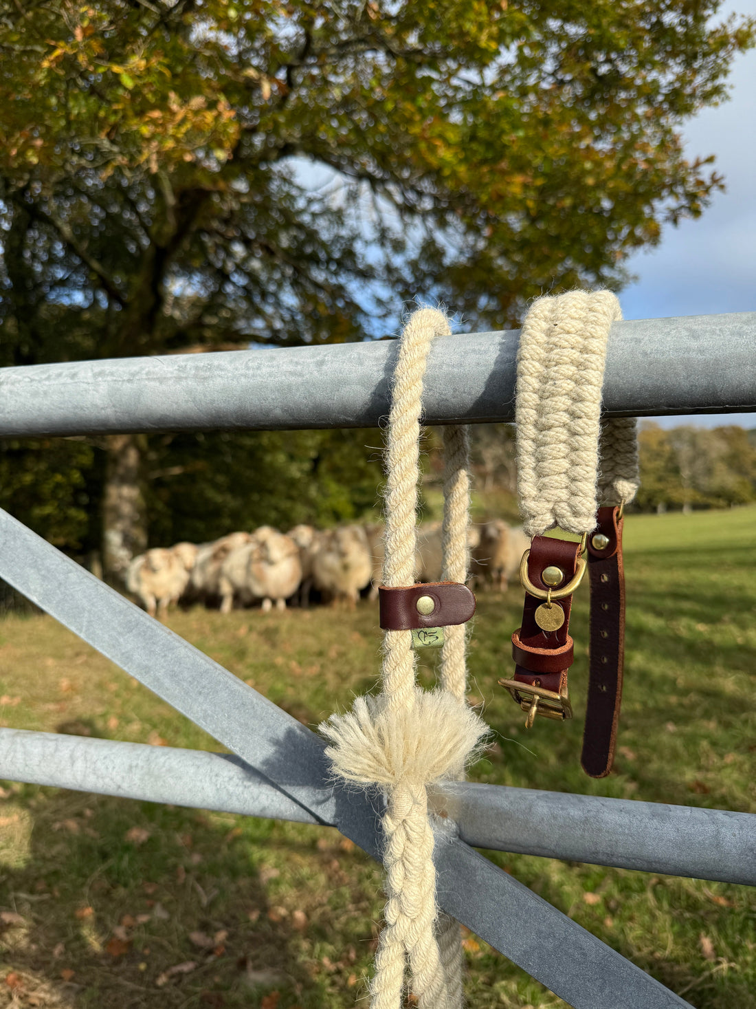 British wool dog collar, lead, and matching keychain tassel from The Sheep Shed Collection by Green Dog – handcrafted in Oxfordshire.