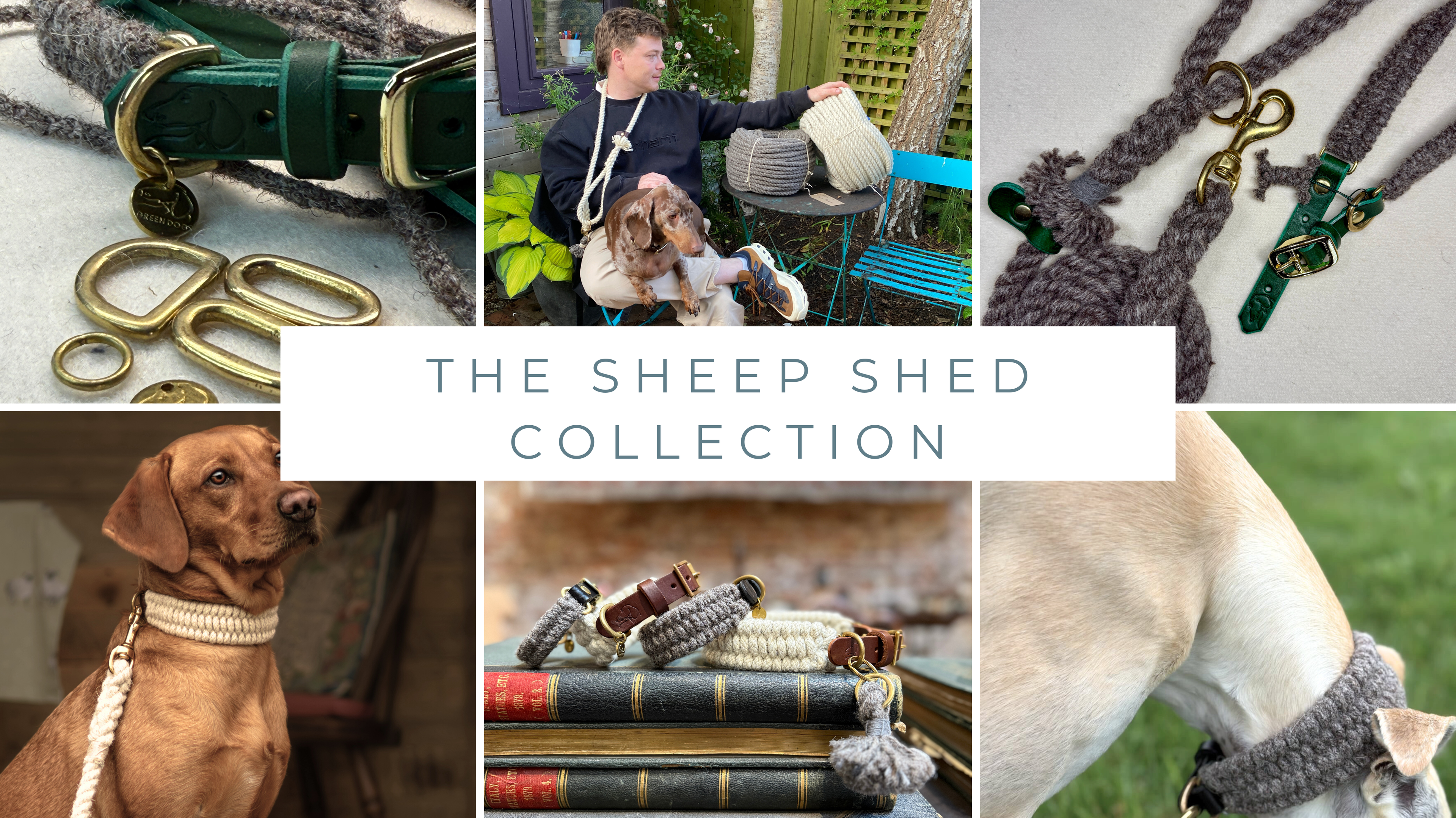 The Sheep Shed | British Wool Dog Collars and Leads Collection