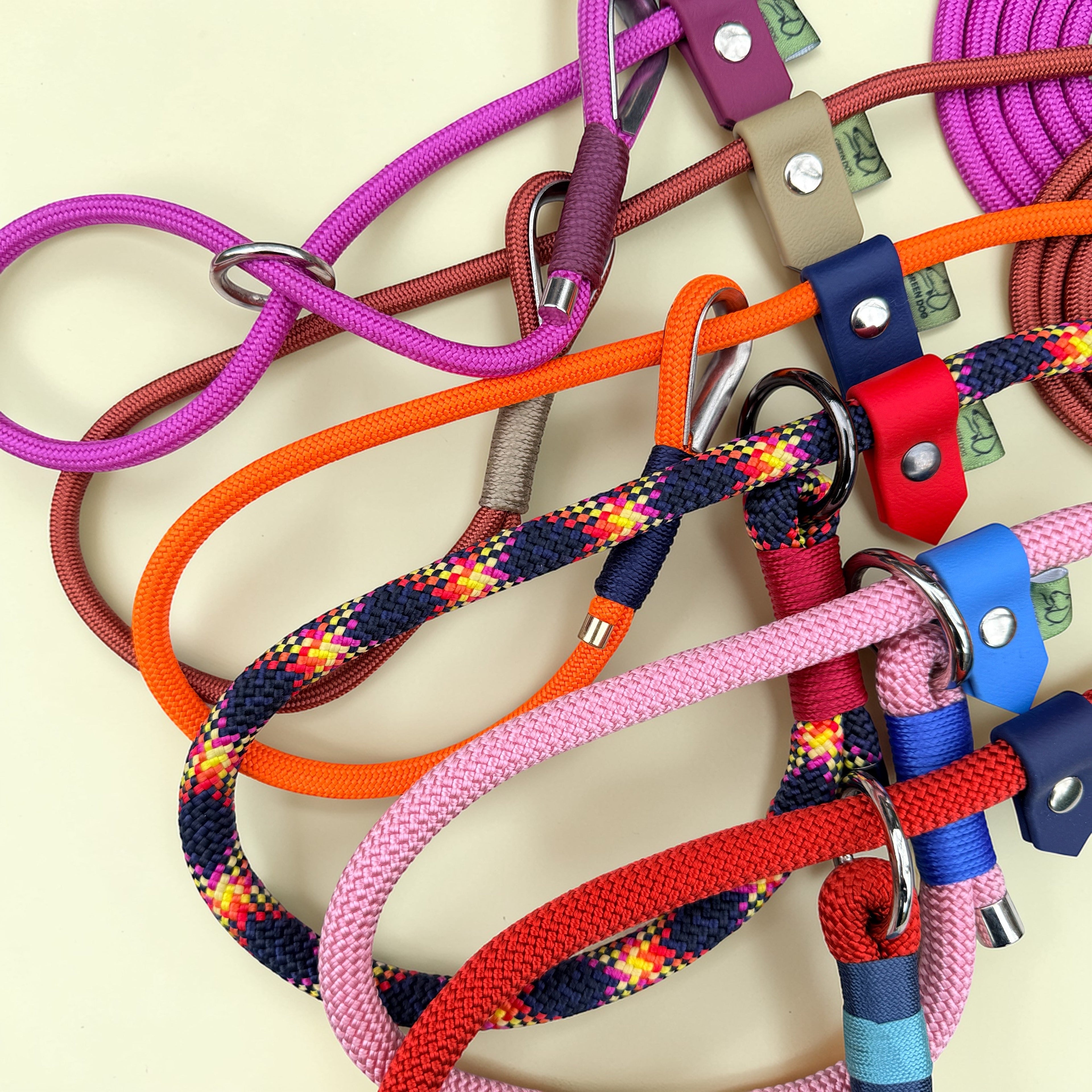Training Slip Collar vs Slip Lead: Key Differences Explained