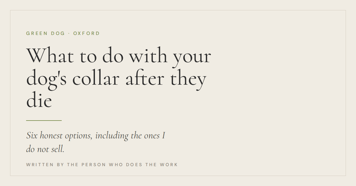 What to do with your dog's collar after they die: six honest options, from Green Dog in Oxford