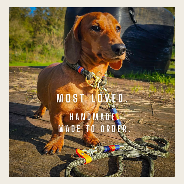 Best Sellers | Luxury Dog Collars & Leads