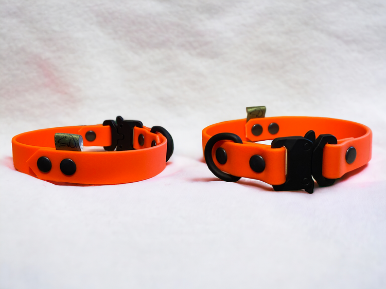 BioThane® Dog Accessories