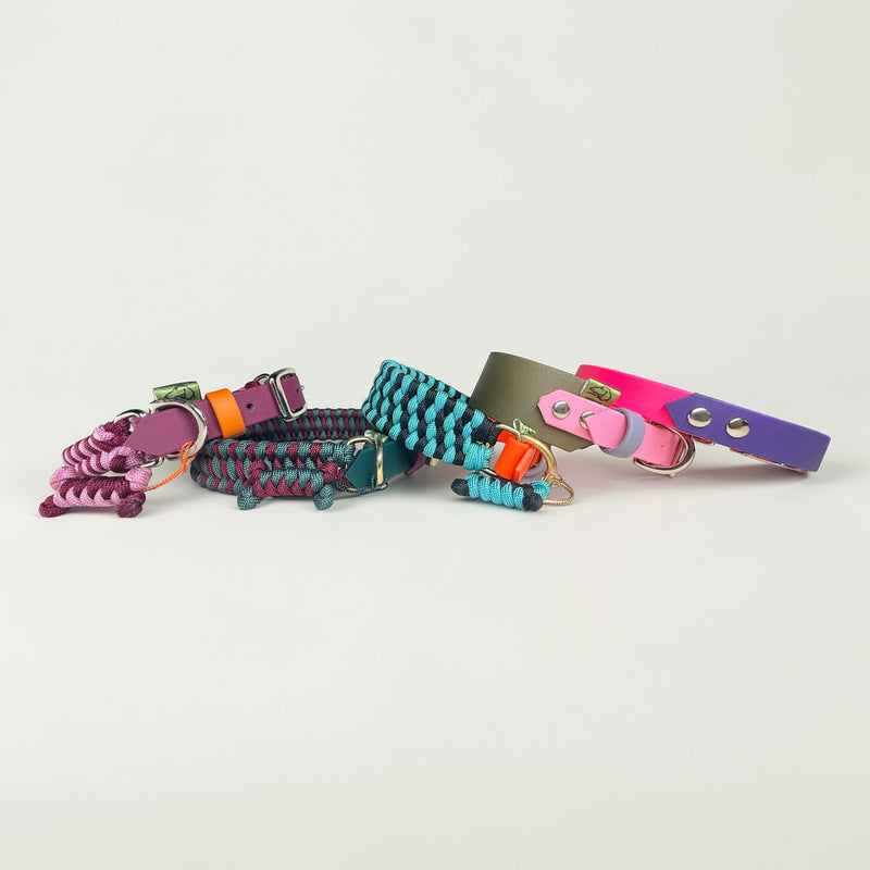 Design your dog collar