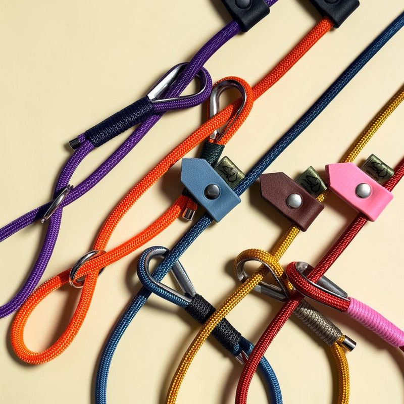 Five handmade figure of 8 dog leads in purple, neon orange, petrol blue, gold and red rope with nickel o-rings and BioThane sliders