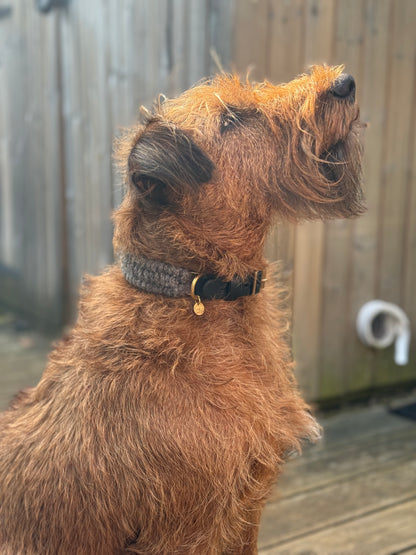 The Brampton – Handmade British Wool Dog Collar (Standard) - Green Dog