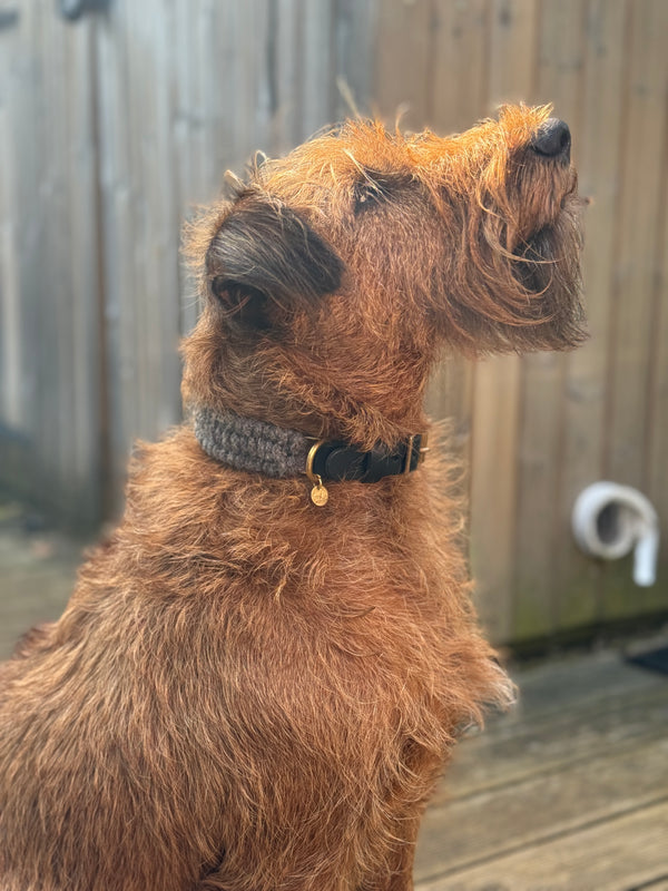 The Brampton – Handmade British Wool Dog Collar (Standard) - Green Dog
