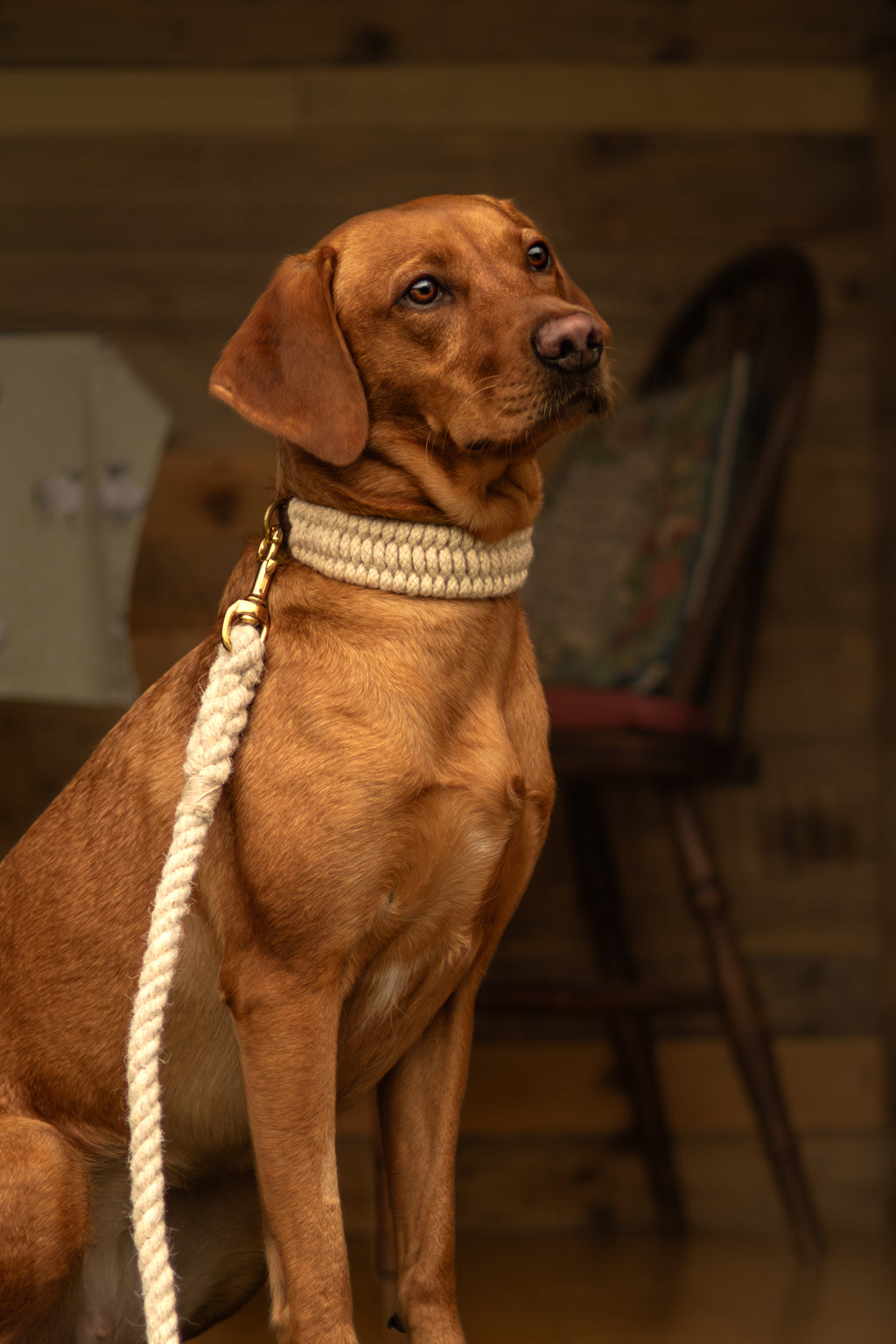 The Swaledale – Handmade British Wool Dog Collar (Standard) - Green Dog