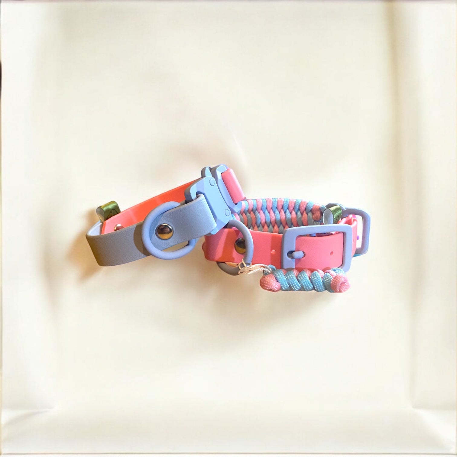 The Fixie BioThane® Dog Collar | Customisable - Green Dog