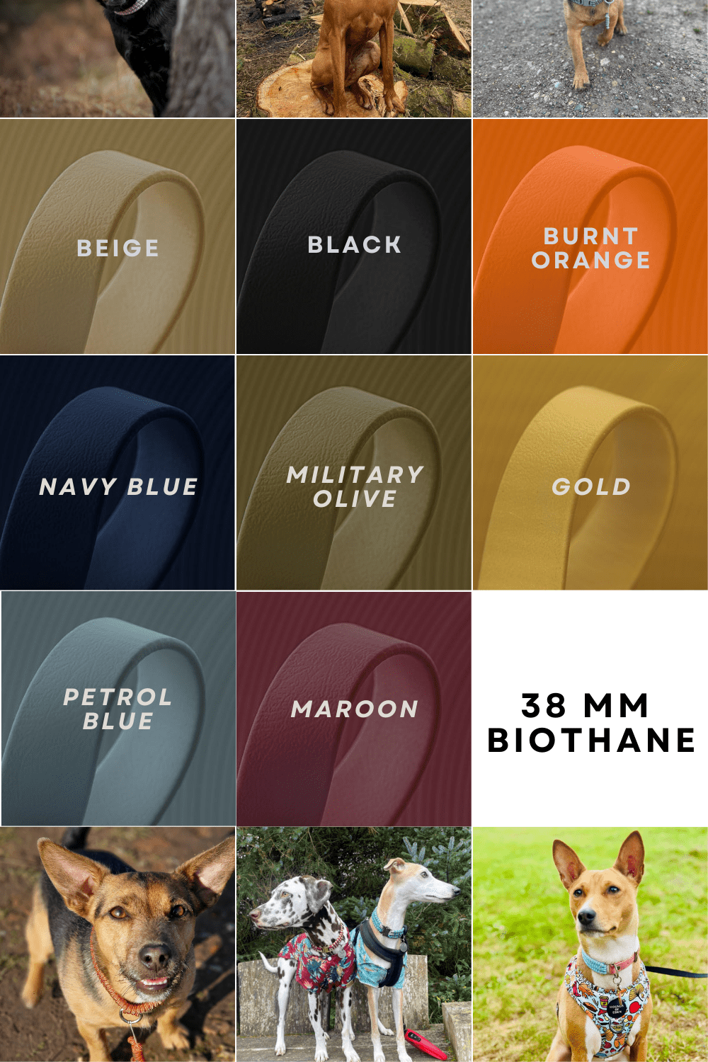 Colour options for the 38mm BioThane main body, customisable for the Cotswold Rambler collar.