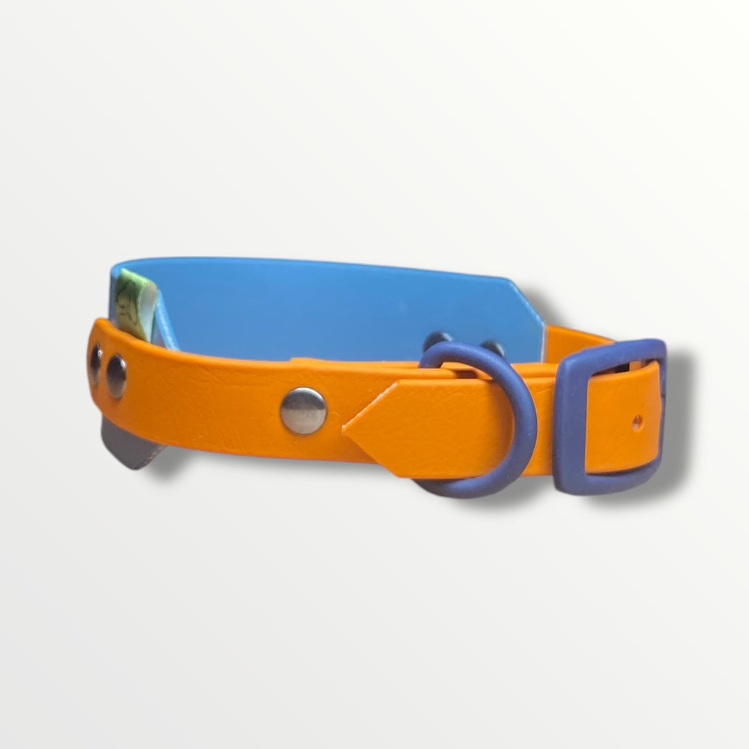 Cotswold Rambler Sighthound Collar with a Petrol Blue main body and Burnt Orange adjustable strap, featuring navy blue silicone-coated hardware.