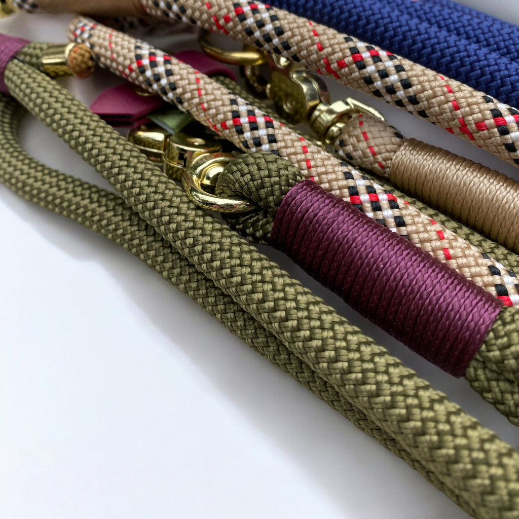 Hands-Free Dog Lead – Customisable Rope Lead for Dogs - Green Dog