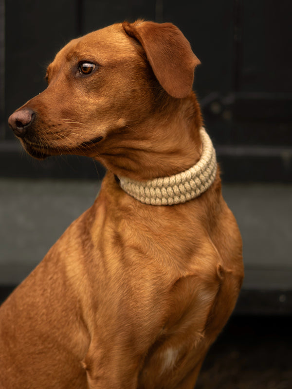 The Swaledale – Handmade British Wool Dog Collar (Standard) - Green Dog