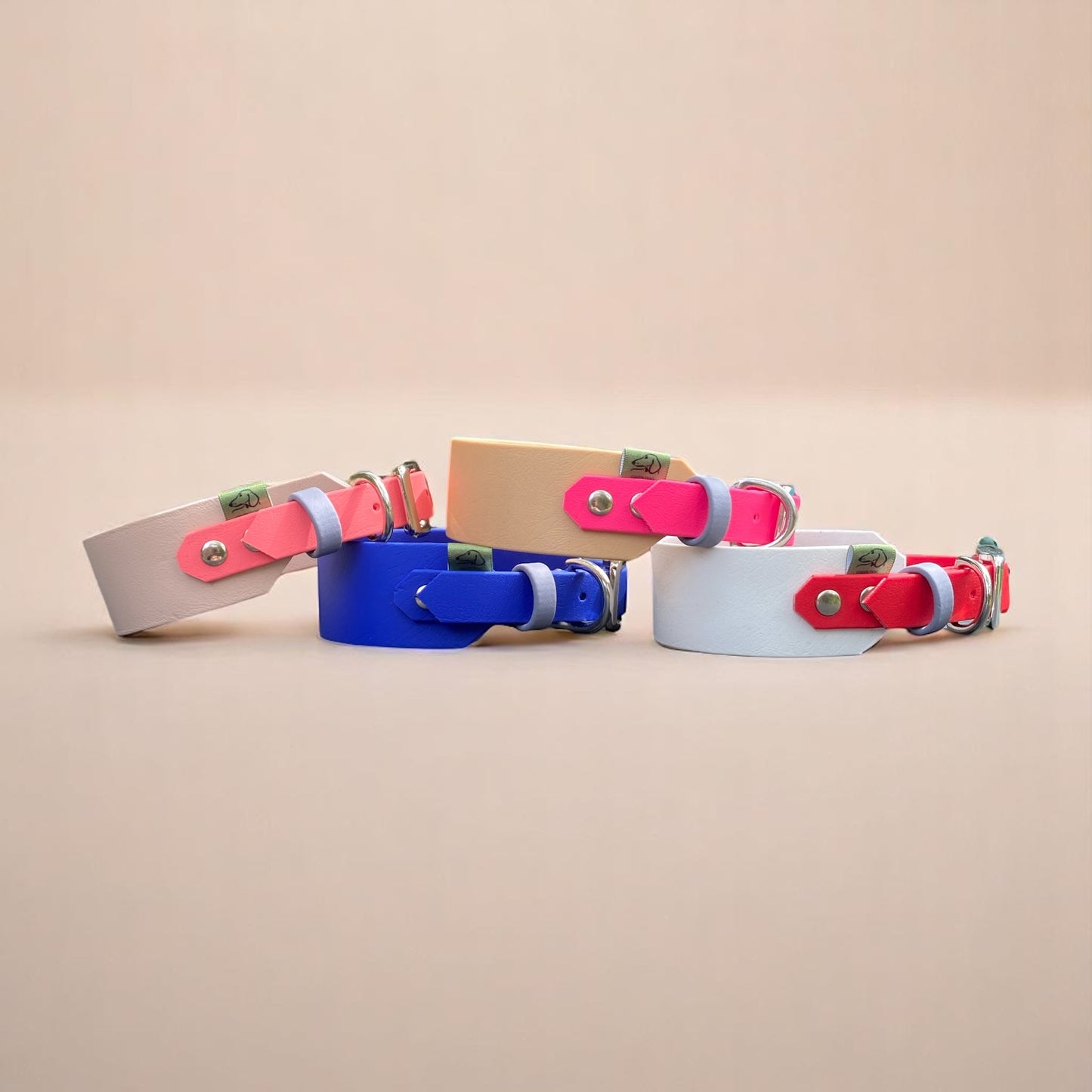 Sighthound dog collars in various colour-ways and fully customisable.