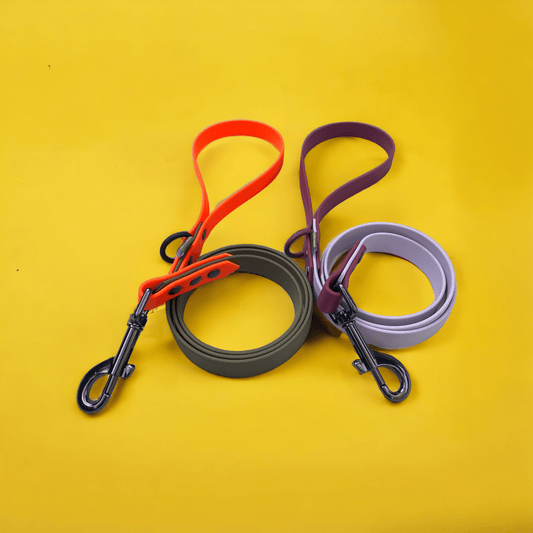 Two custom BioThane dog leads in different colour options, crafted for durability and waterproof performance.