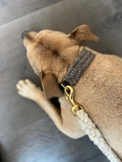 The Brampton – Handmade British Wool Dog Collar (Standard) - Green Dog