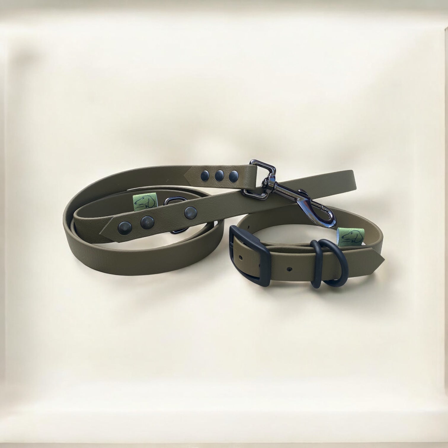 The Oxford BioThane® Lead – Customisable Waterproof Dog Lead - Green Dog