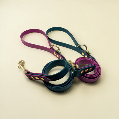 Two handcrafted Green Dog two-tone biothane dog leads in hunter green and maroon, coiled and crossed to display both colourways. Each lead features a looped handle, mid-lead D-ring, gold rivet detailing, and brass snap hook clip, photographed on a cream background.​​​​​​​​​​​​​​​​