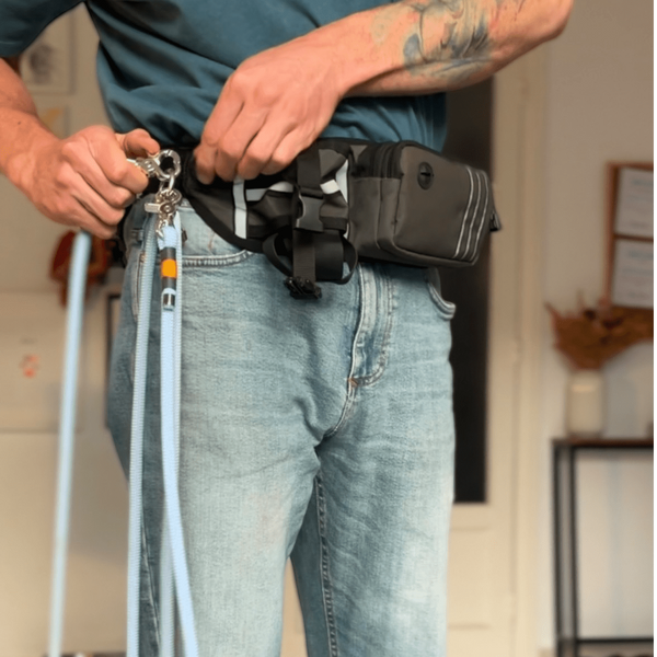 Life Like Charlie’s dog wearing the Monkey Blue Greenwich Yarn handsfree adjustable dog lead, featuring gold BioThane slider and nickel hardware.