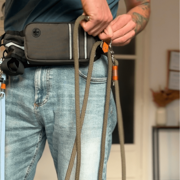 Life Like Charlie’s dog wearing the Greenwich Yarn Nala Green handsfree adjustable dog lead, featuring gunmetal hardware and premium rope design.