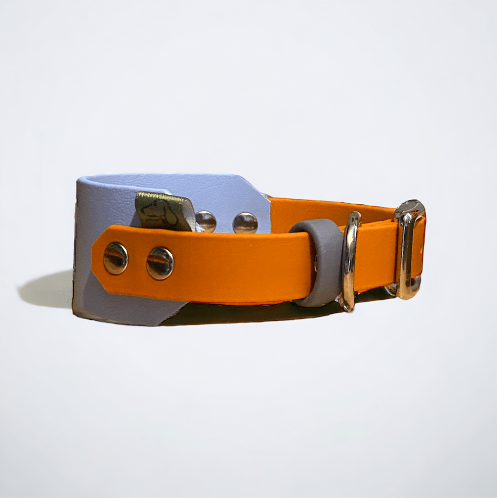 full shot of the Monkey Blue BioThane Sighthound Dog Collar part of the Cotswold Rambler BioThane Sighthound dog collar collection