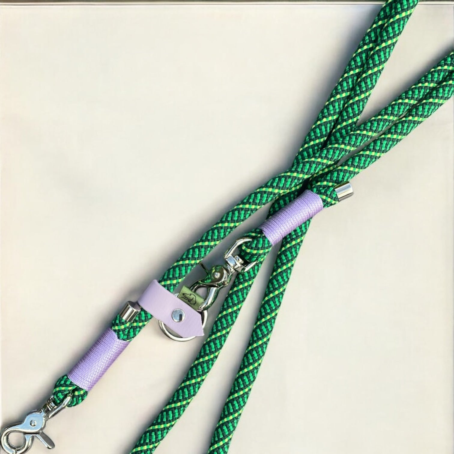 a close up of Nala's latest hands-free dog lead