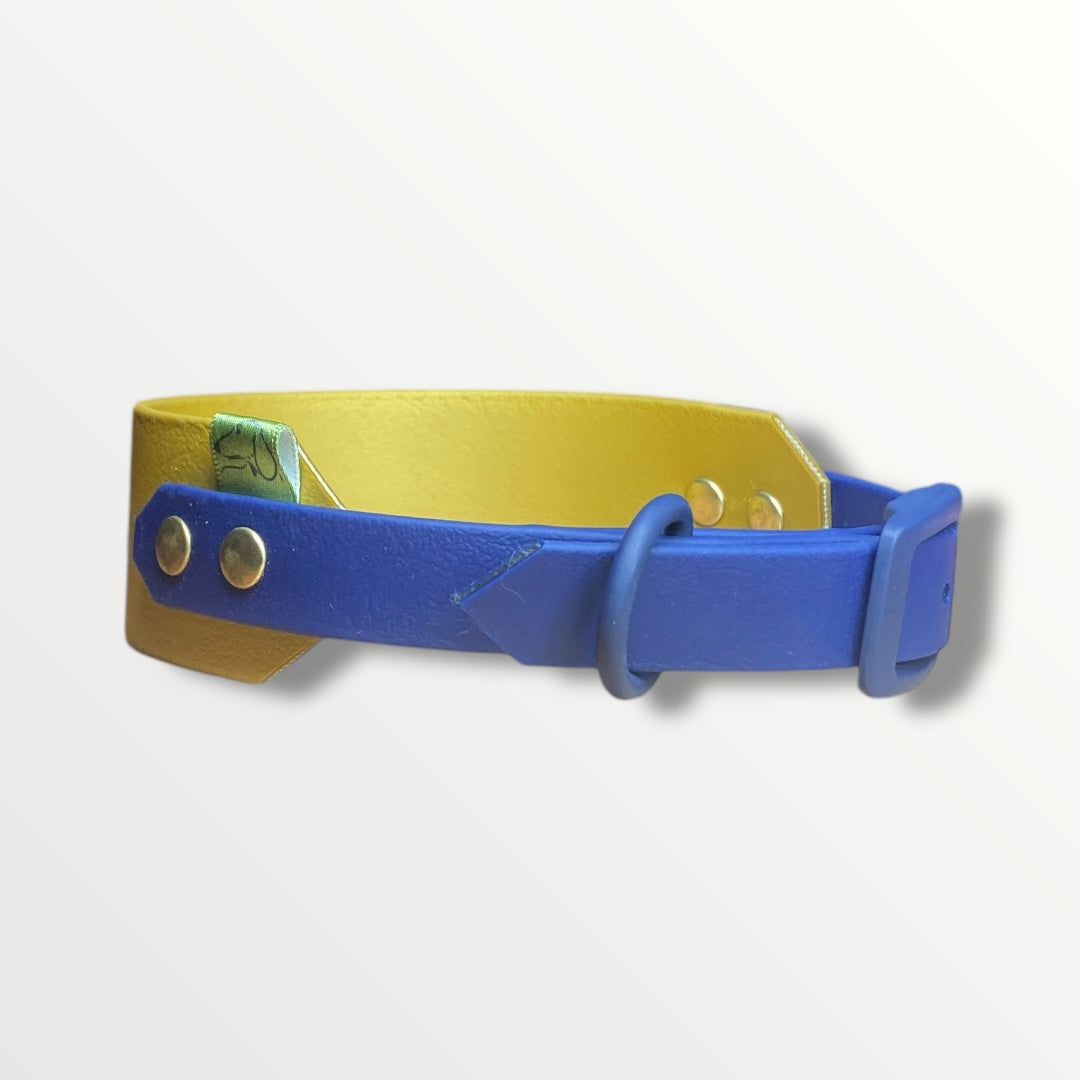 Cotswold Rambler Sighthound Collar with a Gold main body and Navy Blue adjustable strap, featuring navy blue silicone-coated hardware.