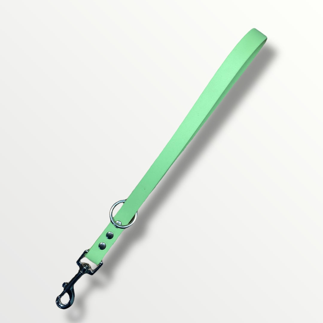 A pastel green short BioThane dog lead with nickel hardware, ideal for close control and harness attachment.