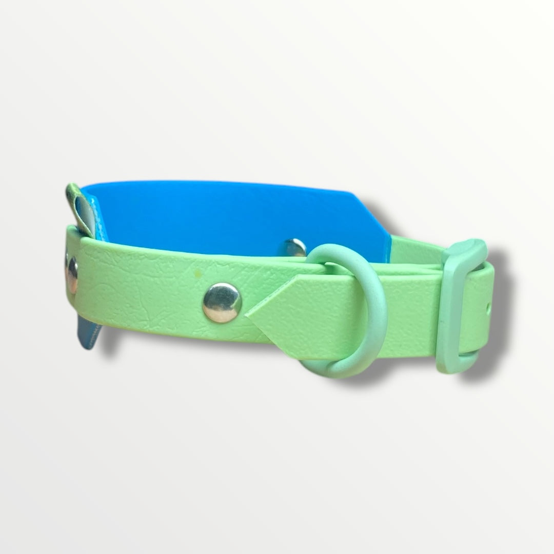 Cotswold Rambler Sighthound Collar in Teal with Pastel Green adjustable strap and pastel green silicone-coated hardware.