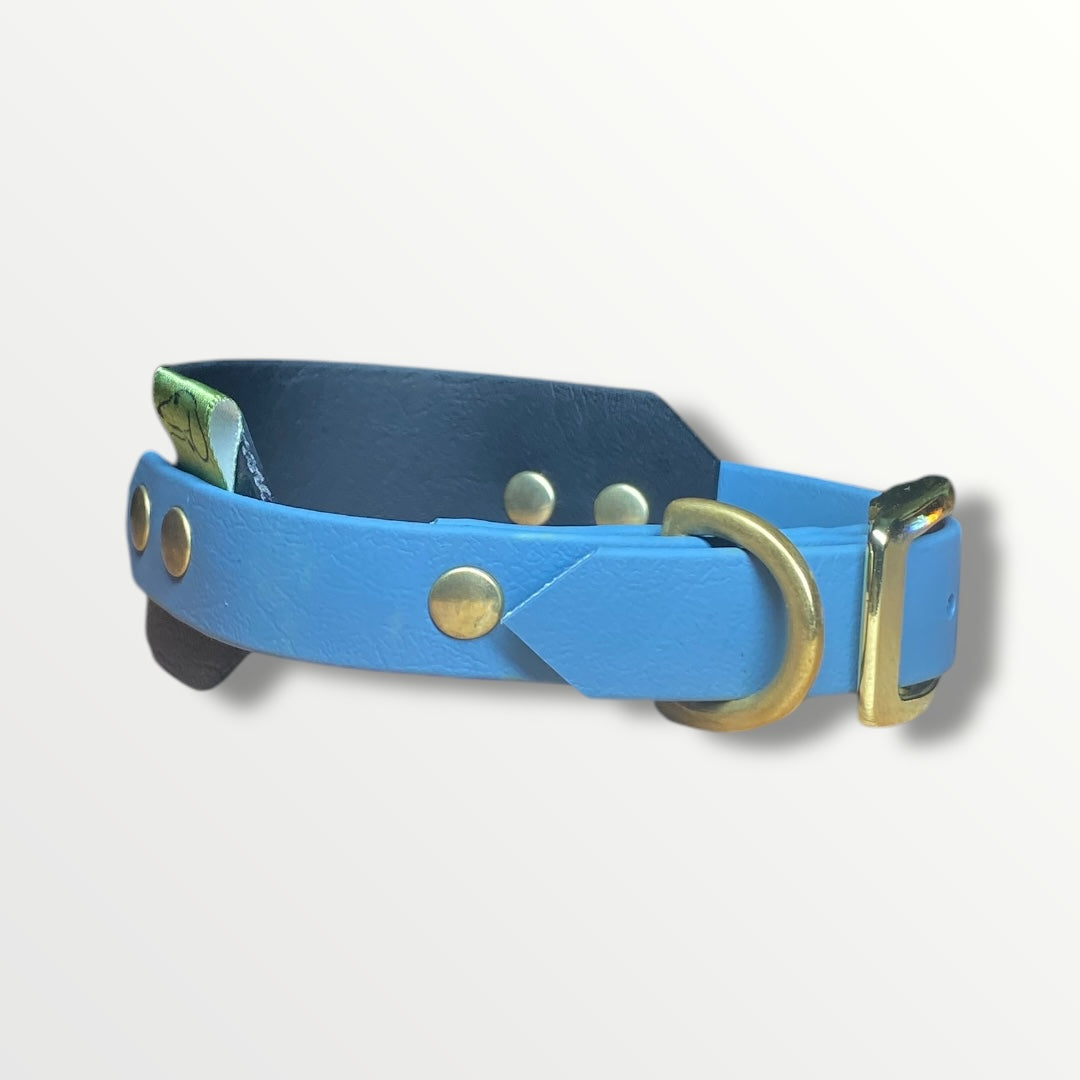 Cotswold Rambler Sighthound Collar in Black with Petrol Blue adjustable strap and brass hardware.