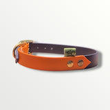 The Oxford BioThane® Collar | Multiple Options & Sizes