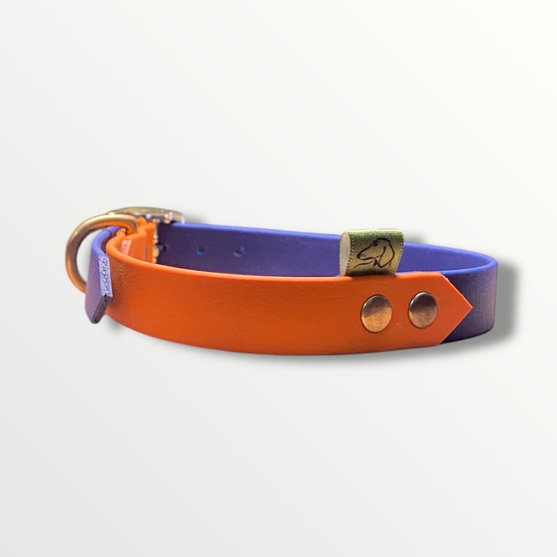 The Oxford BioThane® Collar | Multiple Options & Sizes