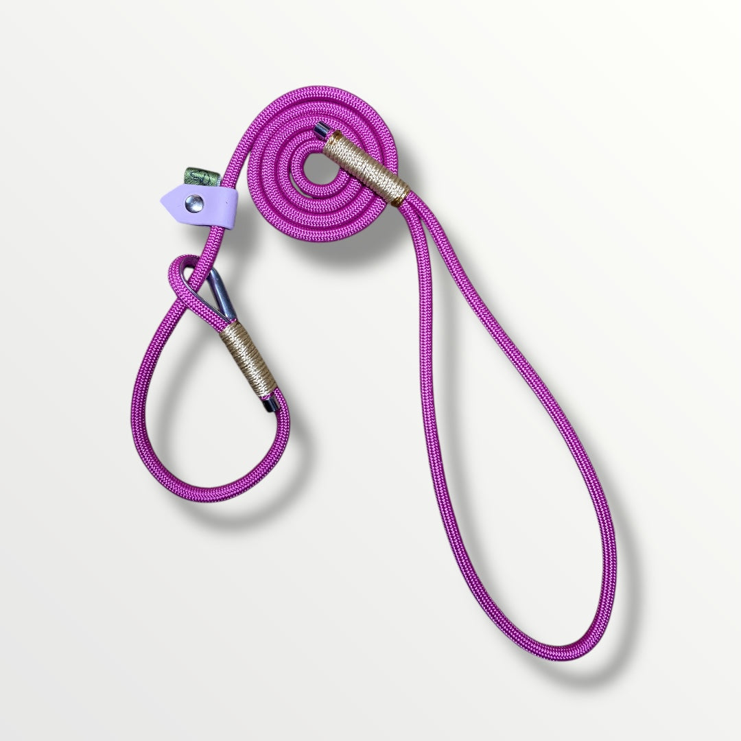 The Strand Slip Lead – Pre-Made Slip Leads for Dogs