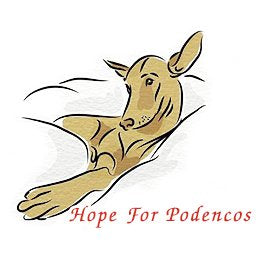 Hope For Podencos — Collaboration