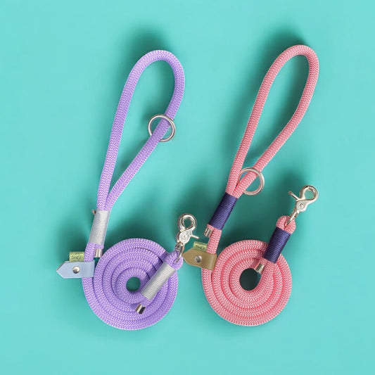 fully customisable rope dog leads in some of the latest summer colours