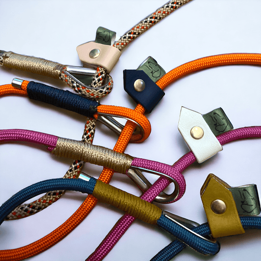 Selection of The Strand Slip Leads showcasing available colours and styles for everyday dog walks and training.