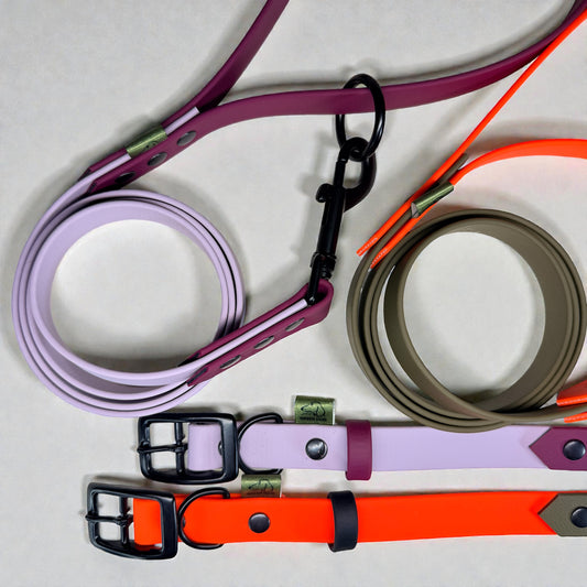 BioThane dog leads flat lay with black hardware in Pastel Purple and Maroon, plus Neon Orange and Military Green, with matching collars.
