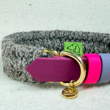 Stamped 11mm Green Dog brass disc hanging from the D-ring of a custom Brampton wool and BioThane dog collar, made in Britain